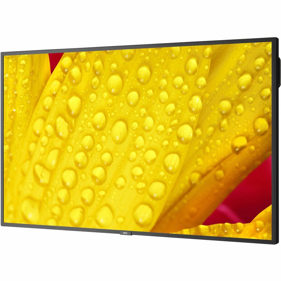 Sharp 43" Ultra High Definition Professional Display M431-2